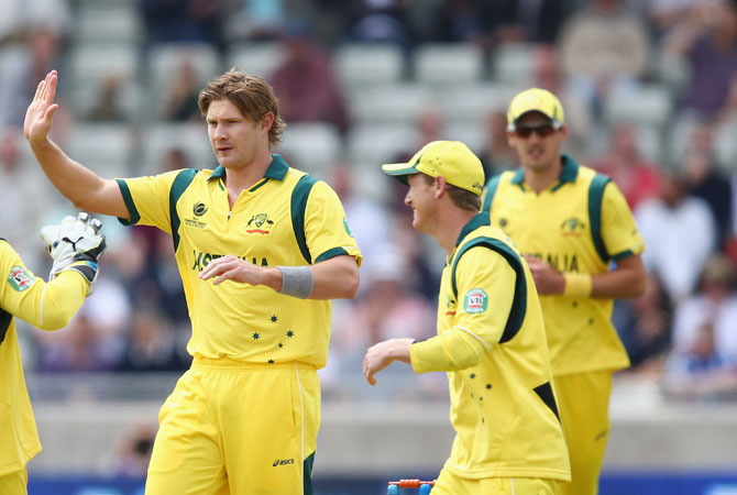 The Australian team celebrates a wicket