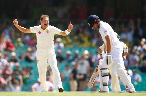 Ryan Harris celebrates after taking the wicket of Alastair Cook of England during Day 2 of the fifth Ashes Test against England at Sydney Cricket Ground on January 4, 2014