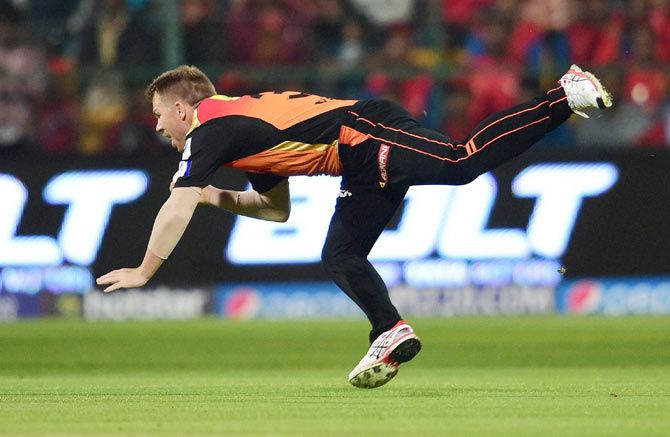 Sunriserrs Hyderabad captain David Warner plucks out a catch out of thin air to dismiss Royal Challengers Bangalore's Mandeep Singh