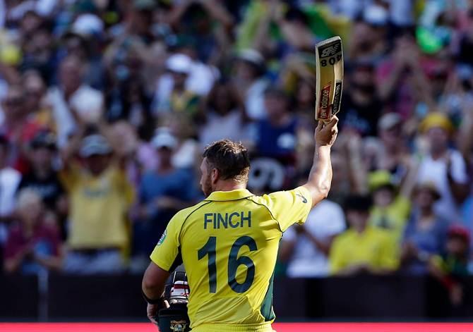 Aaron Finch celebrates