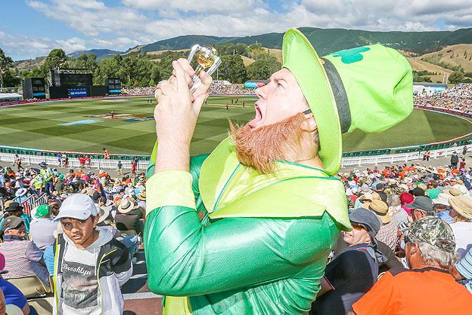 An Ireland fan poses