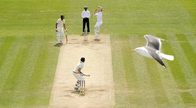 England's Ben Stokes bowls as a seagull flies past during the first Ashes Test against Australia at SWALEC Stadium, in Cardiff on Friday