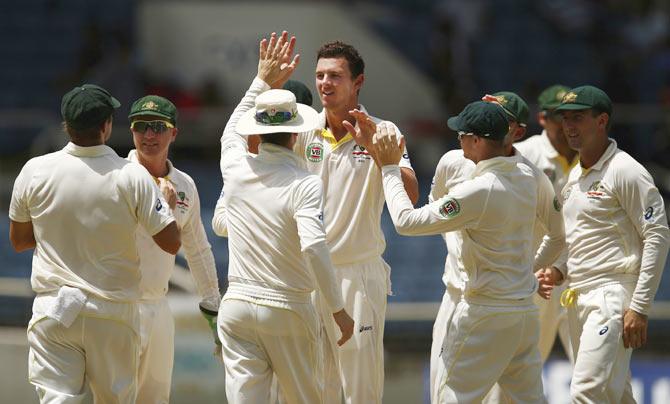 Josh Hazlewood celebrates after taking the wicket of Jermaine Blackwood