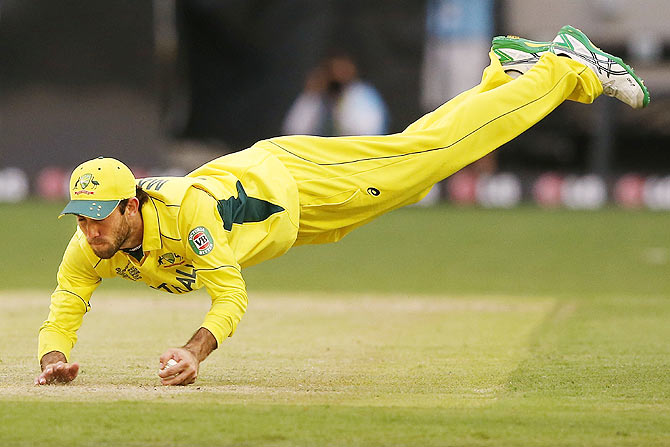 Glenn Maxwell of Australia takes a diving catch to dismiss Shaiman Anwar of UAE during their match between at Melbourne Cricket Ground on February 11