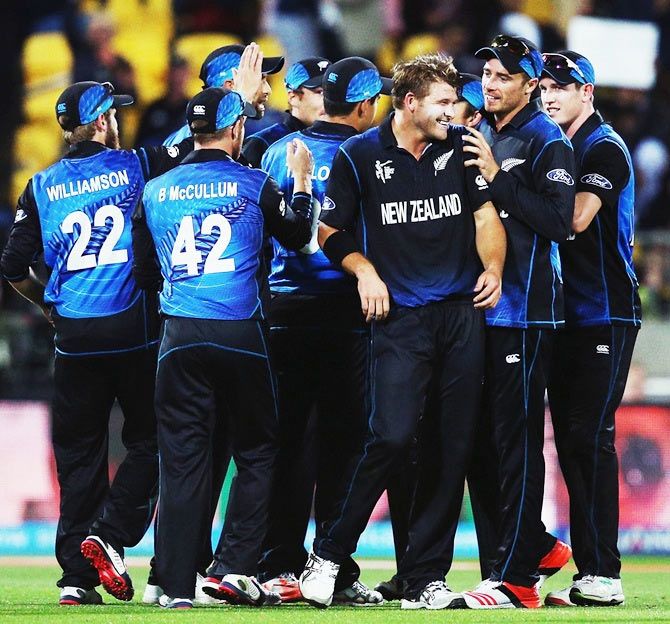 New Zealand players celebrate a wicket 