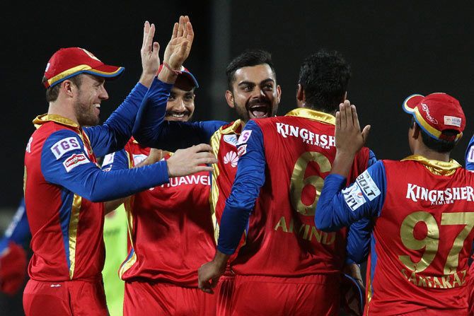 Royal Challengers Bangalore players celebrate the wicket of Shane Watson