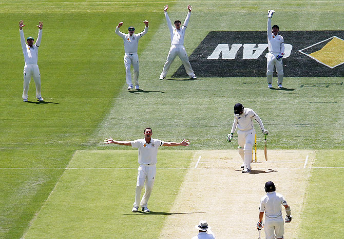 Australia's Josh Hazlewood (centre) appeals successfully with teammates for the wicket of New Zealand's Martin Guptill