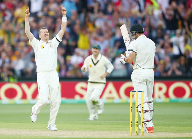 Australia's Peter Siddle celebrates dismissing New Zealand's Doug Bracewell, his 200th Test wicket