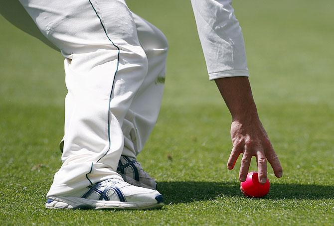 Australia's David Warner fields the pink ball during the first day of the third cricket Test match against New Zealand at the Adelaide Oval on Friday