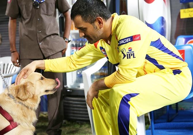 MS Dhoni