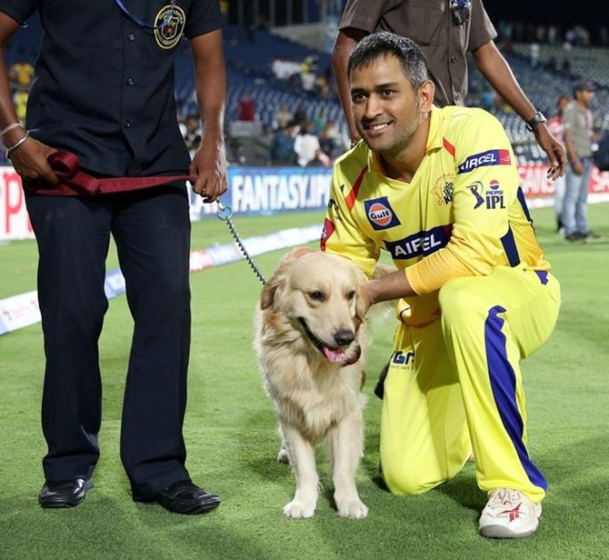 Mr And Mrs Dhoni And Their Love For Dogs Rediff Cricket