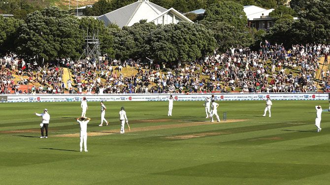 New Zealand's players react after Doug Bracewell bowls out Australia's Adam Voges off a no ball on Day 1 of the Test match at Basin Reserve in Wellington on Friday
