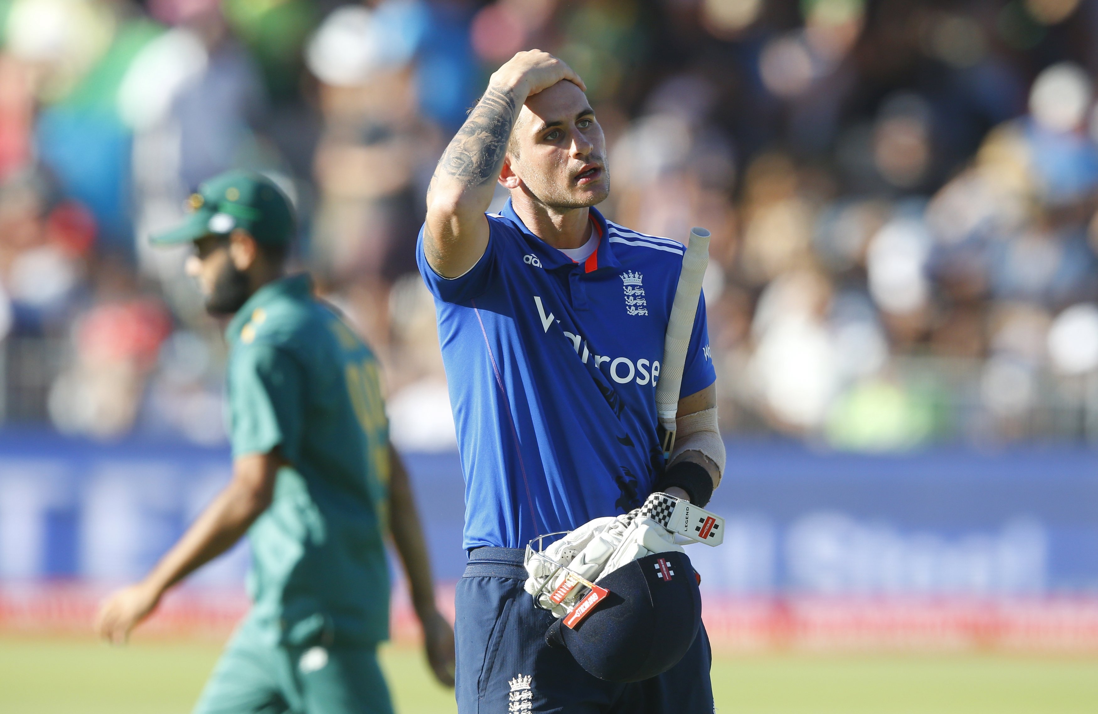 alex hales