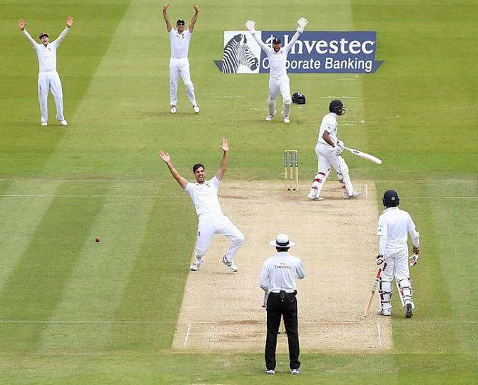 Steven Finn