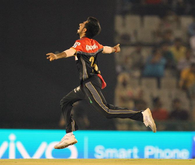 RCB's Yuzvendra Chahal celebrates wicket of Punjab's David Miller