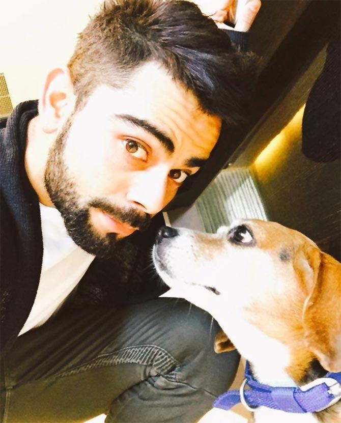 Virat Kohli with his dog