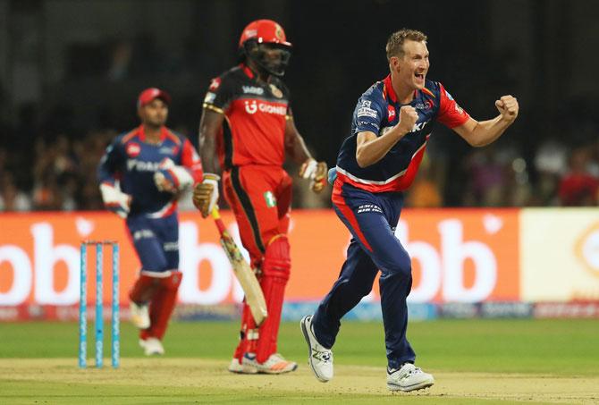 Delhi Daredevils' Chris Morris celebrates the wicket of Royal Challengers Bangalore's Chris Gayle