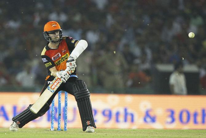 Kane Williamson bats during this late charge against Kings XI Punjab