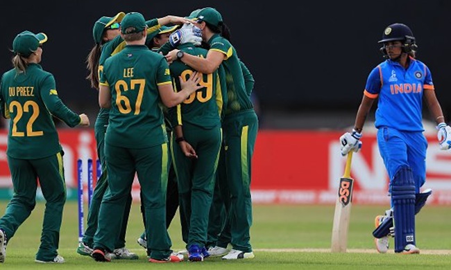 South Africa players celebrate
