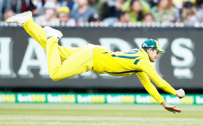 Australia' Steven Smith dives as he attempts to take a catch