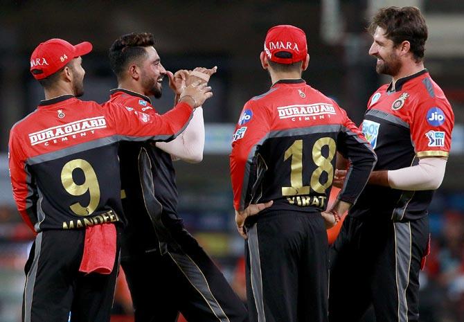 Mohammed Siraj celebrates a wicket