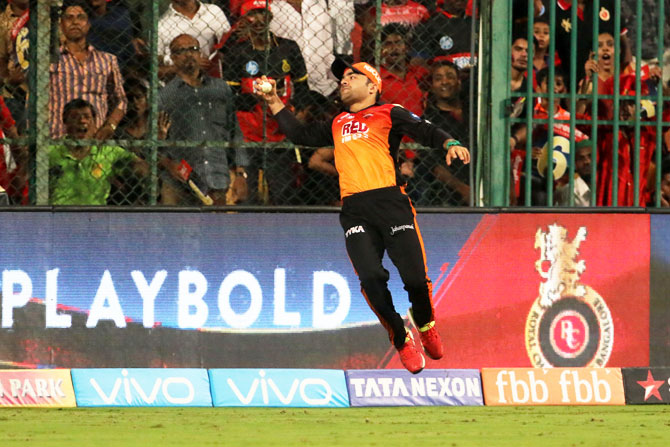 Rashid Khan completes a fine one-handed catch to dismiss Colin de Grandhomme