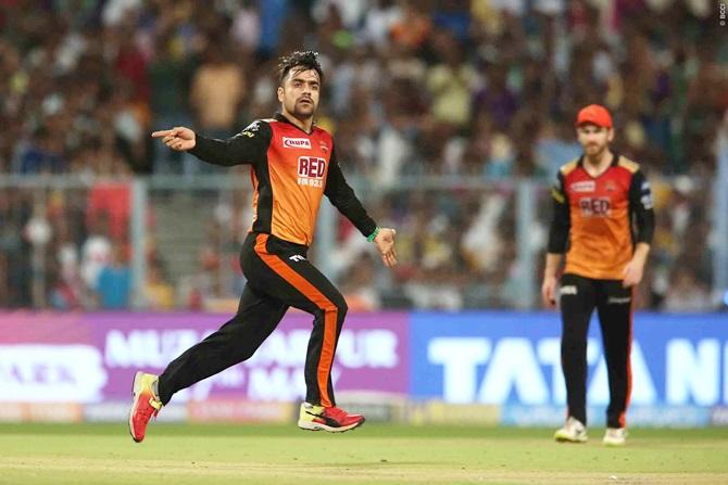 Rashid Khan celebrates after taking the wicket of Robin Uthappa