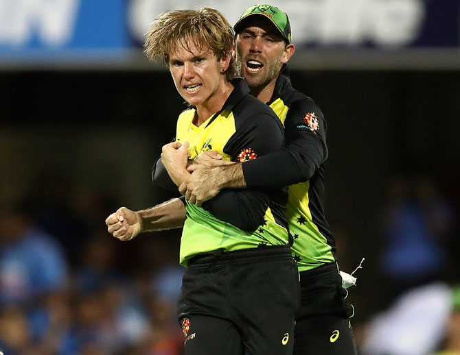 Adam Zampa celebrates after taking the wicket of Virat Kohli