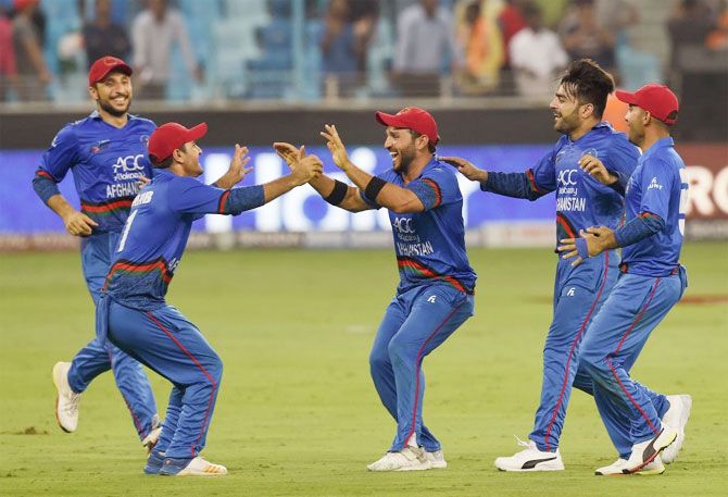 Afghanistan players celebrate on dismissing Ravindra Jadeja to tie the match