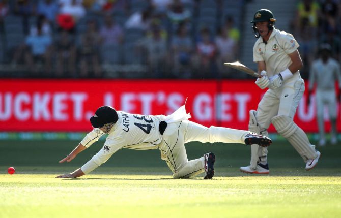 New Zealand's Tom Latham dives to field the ball as Australia's Marnus Labuschagne looks on