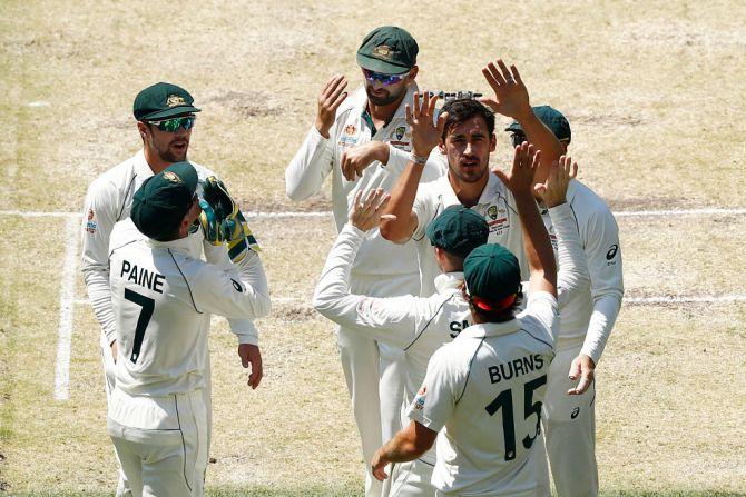 Australia's Mitchell Starc celebrates after dismissing Colin de Grandhomme