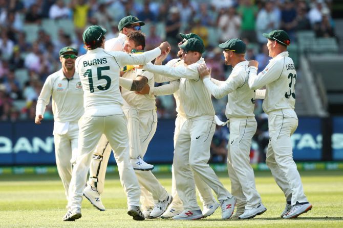 Australia players celebrate with James Pattinson after dismissing New Zealand's Kane Williamson