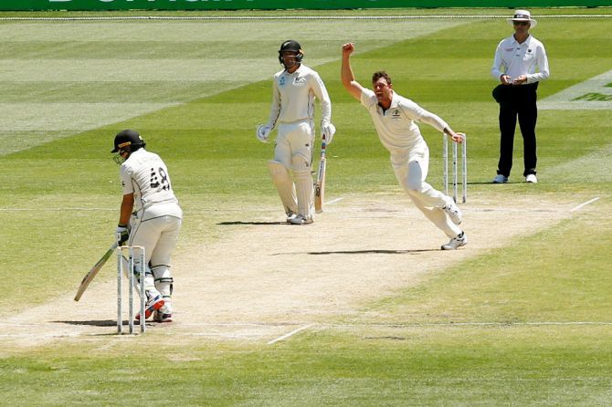 Australia's James Pattinson celebrates the wicket of New Zealand's Tom Latham
