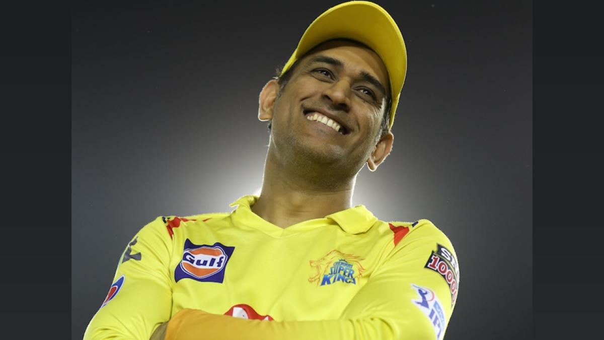 IPL 2025: Fans Want New Winner, RCB Favorite - Survey