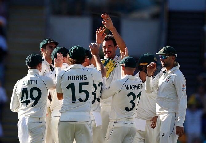 Mitchell Starc celebrates with his Australia teammates after taking the wicket of Azhar Ali.