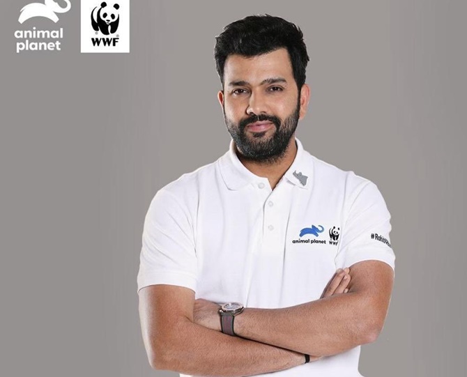 Rohit Sharma