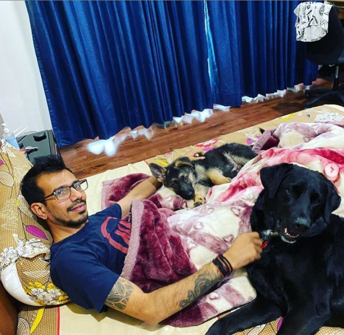 India leggie Yuzvendra Chahal lazying with his dogs at home during lockdown
