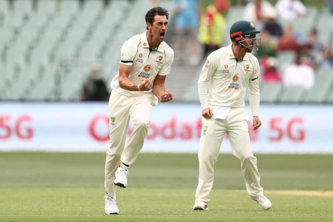 Mitchell Starc celebrates after dismissing Prithvi Shaw.