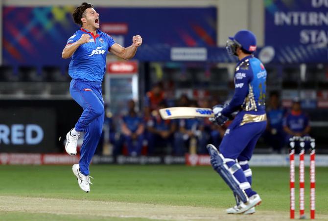 Marcus Stoinis celebrates the wicket of Quinton de Kock