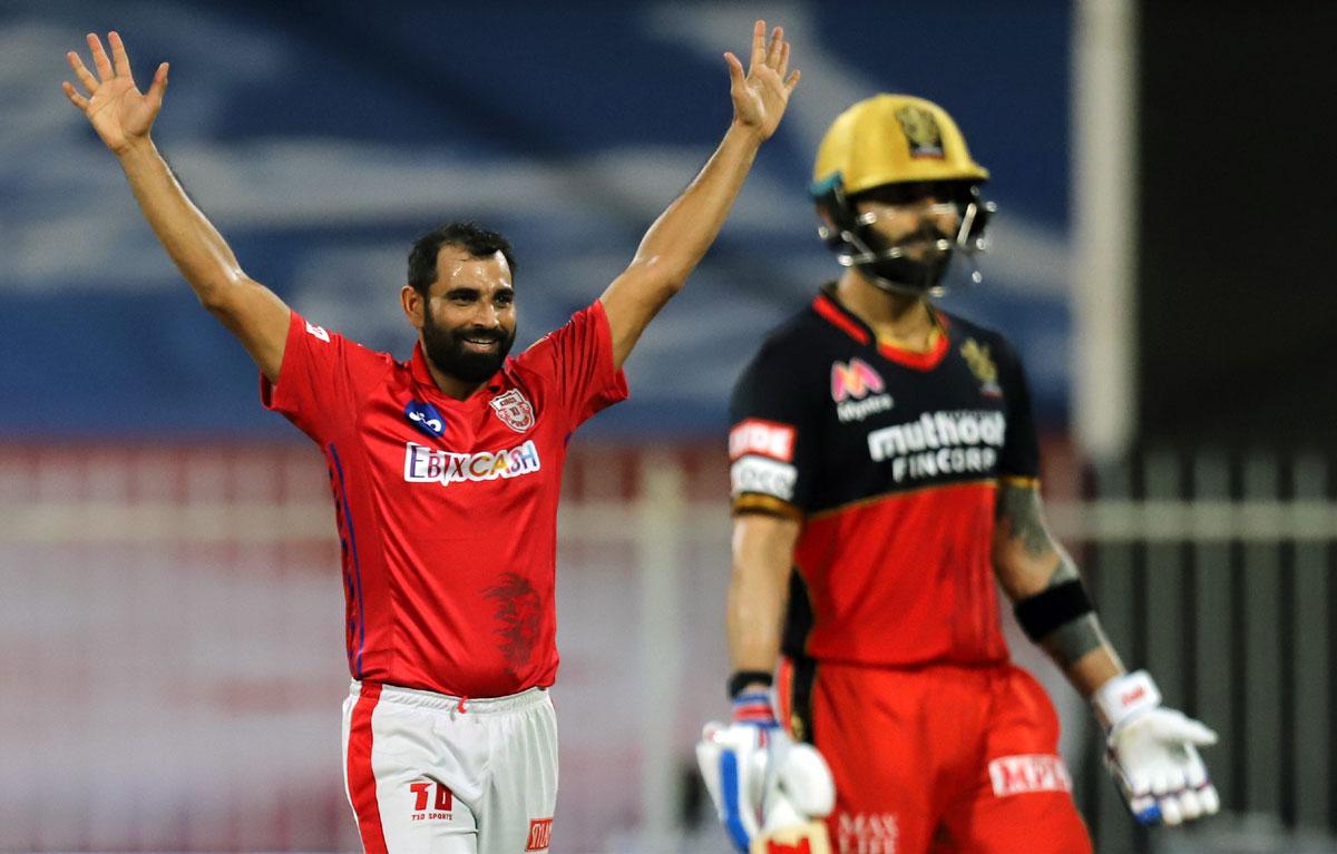 Mohammed Shami celebrates the wicket of Virat Kohli