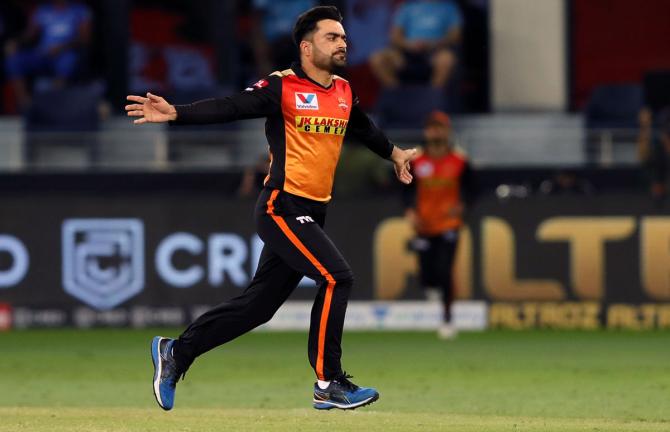 Rashid Khan celebrates the wicket of Shimron Hetmyer