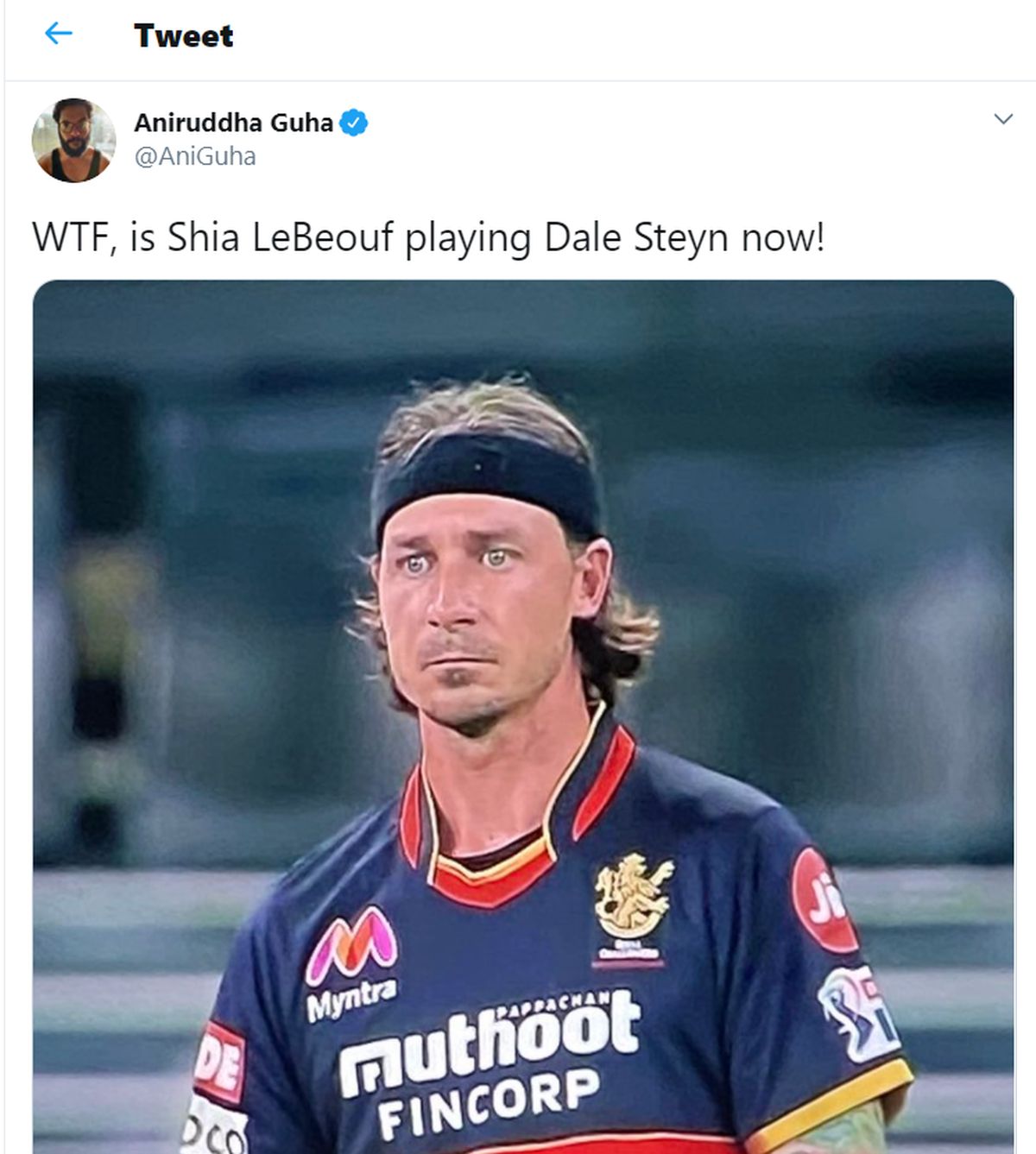 Shia Le Beouf and Dale Steyn