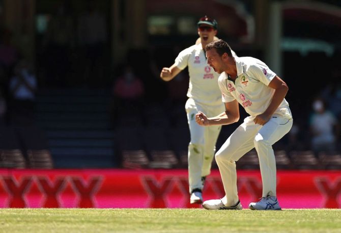Josh Hazlewood celebrates after taking the wicket of Cheteshwar Pujara