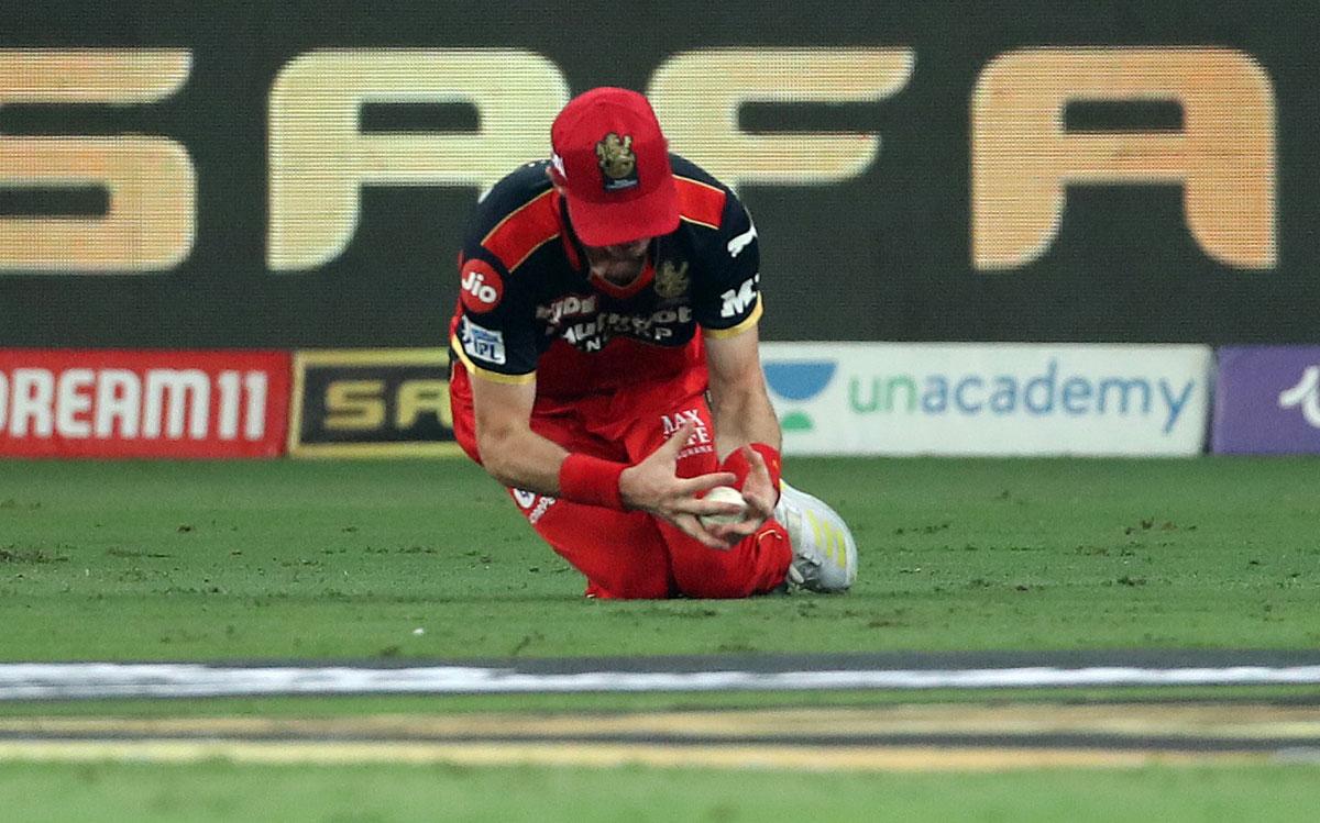 George Garton takes the catch to dismiss Prithvi Shaw.