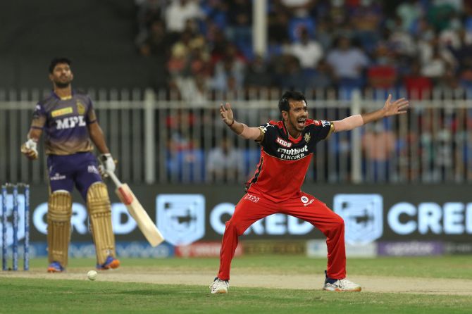 Yuzvendra Chahal successfully appeals for the wicket of Rahul Tripathi.