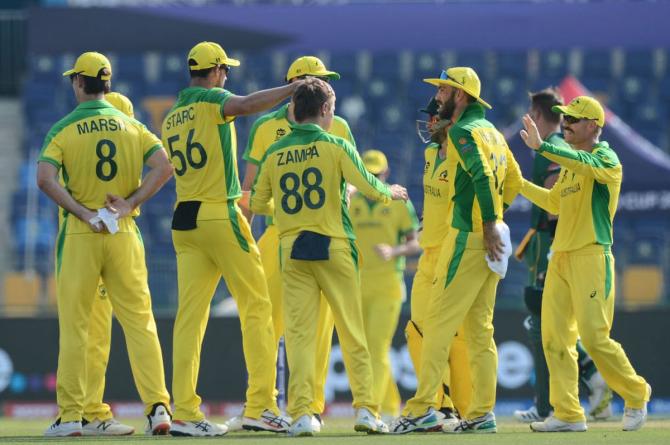 Adam Zampa celebrates with teammates on dismissing David Miller