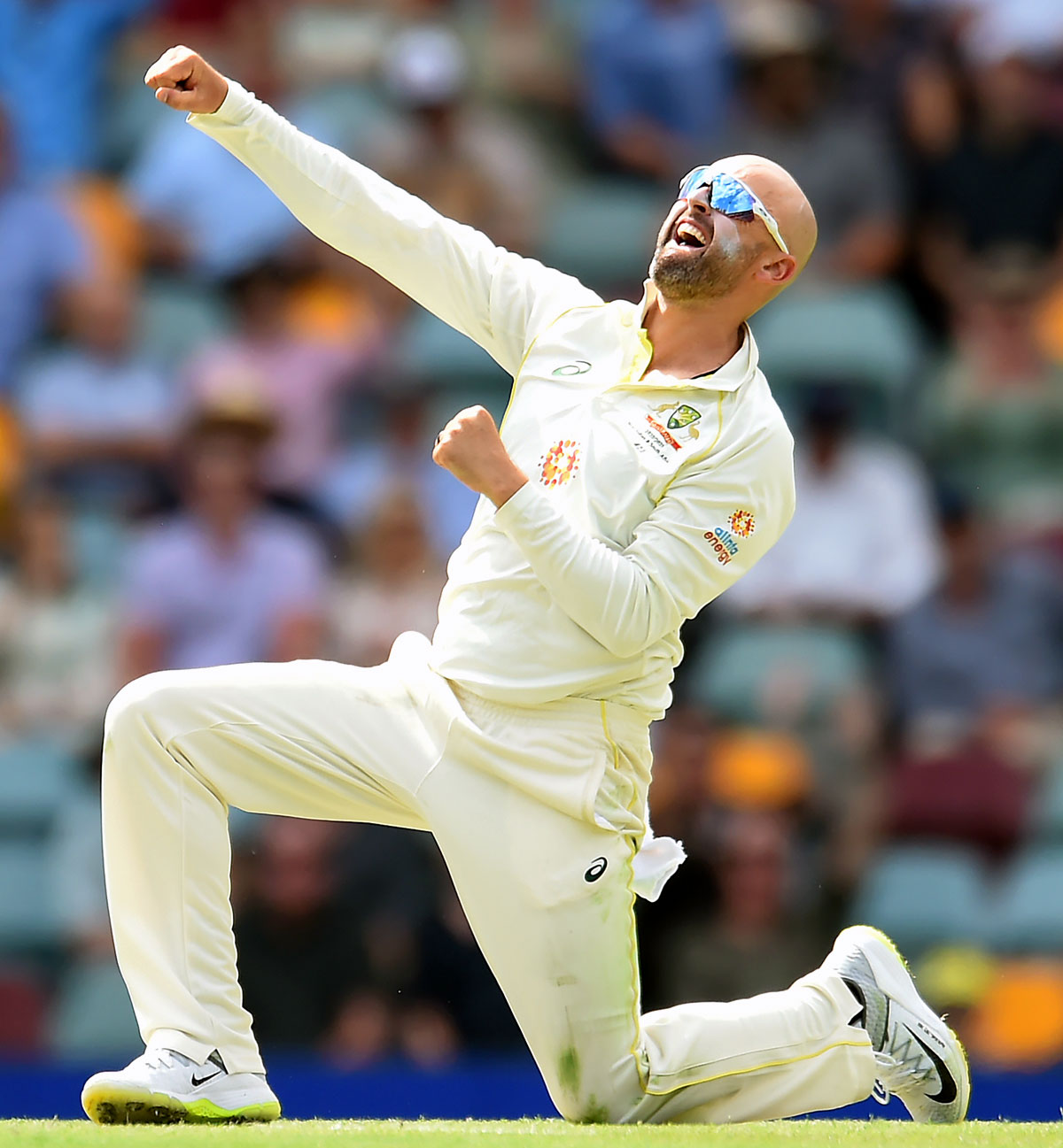 Australia spinner Nathan Lyon celebrates dismissing South Africa's Temba Bavuma during Day 2 of the first Test at The Gabba in Brisbane, on Sunday.
