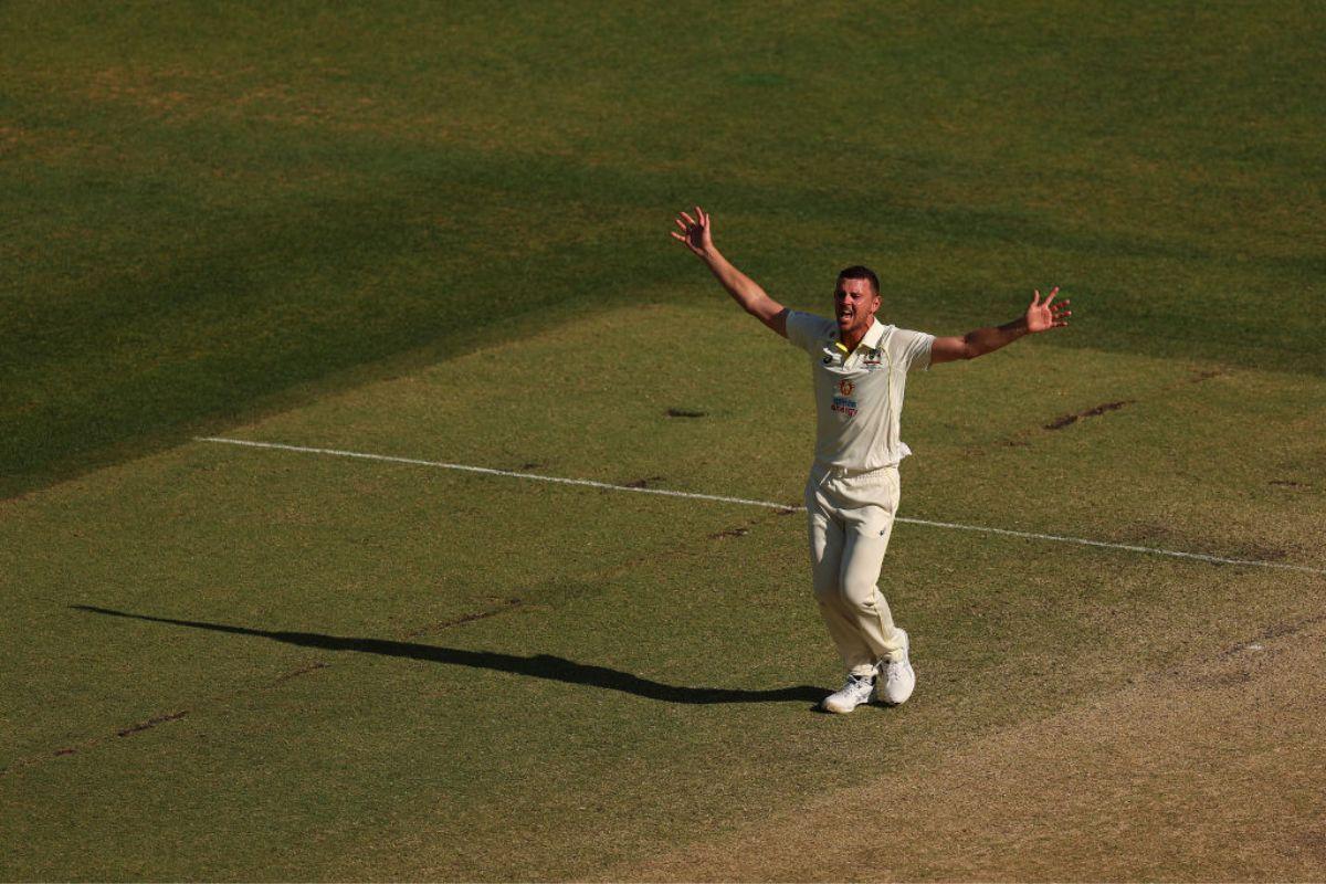 Australia's Josh Hazlewood shouts in appeal