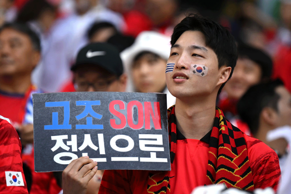 A Son fan at Education City Stadium
