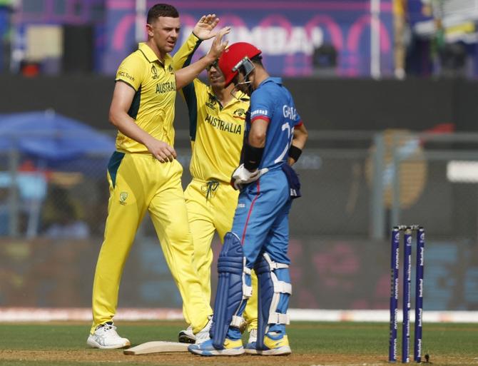 Josh Hazlewood celebrates with David Warner after taking the wicket of Rahmanullah Gurbaz